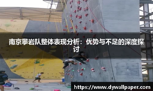 南京攀岩队整体表现分析：优势与不足的深度探讨